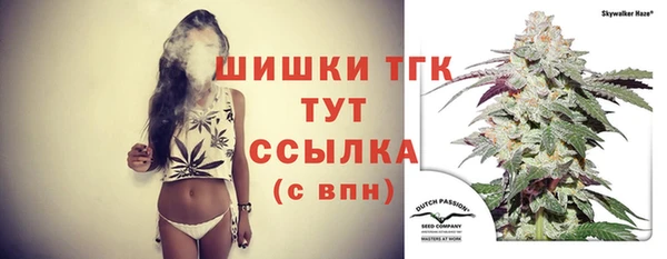 дурь Лагань