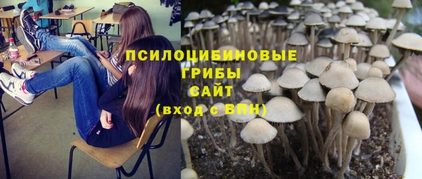 дурь Лагань