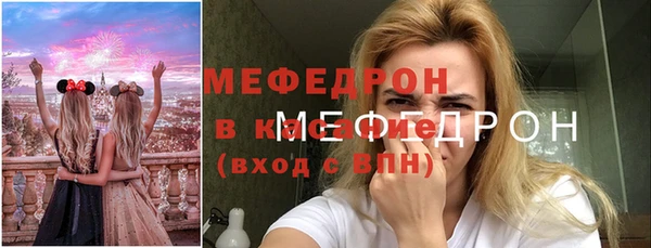 МДПВ Долгопрудный