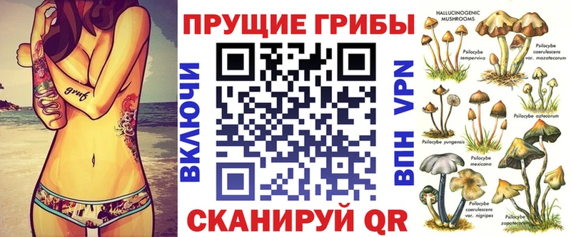 купить наркотики сайты  Янаул  Псилоцибиновые грибы GOLDEN TEACHER 