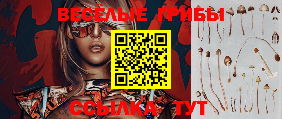 Галлюциногенные грибы мухоморы  Вход с VPN  Янаул 
